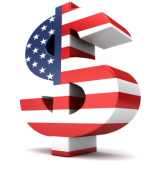 Dollar Flag