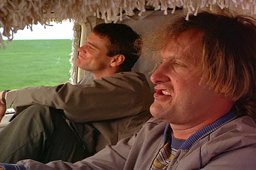 To be a success in today’s America, it helps to either dumb or dumber. Why is that? (Photo by insomniacuredhere/Flickr) 