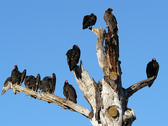 So. How have you frackers been feeling, lately? Just checking. (Photo by docentjoyce/Flickr) 