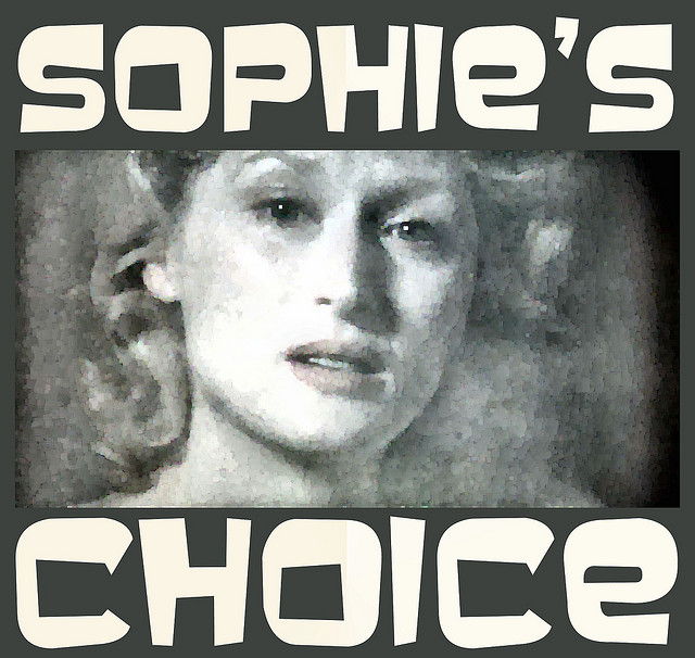 Sophie had to choose which child would live and which would die. Now multiply that problem by a couple orders of magnitude. (Photo by Bill Strain/Flickr) 