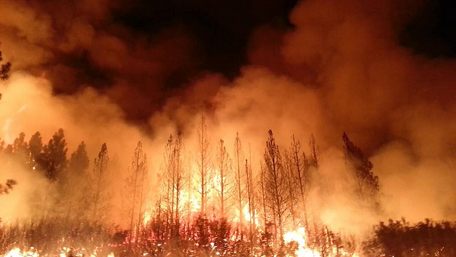 The Rim Fire in California’s Sierra Nevada burned over a quarter million acres in 2013. Seemed amazing then, now it’s just another day in the woods (and on the tundra). (US Forest Service photo)