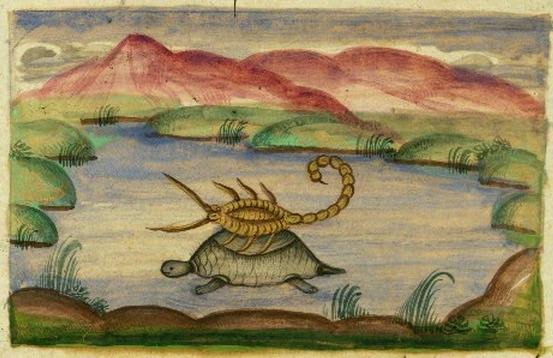 Scorpion and Tortoise