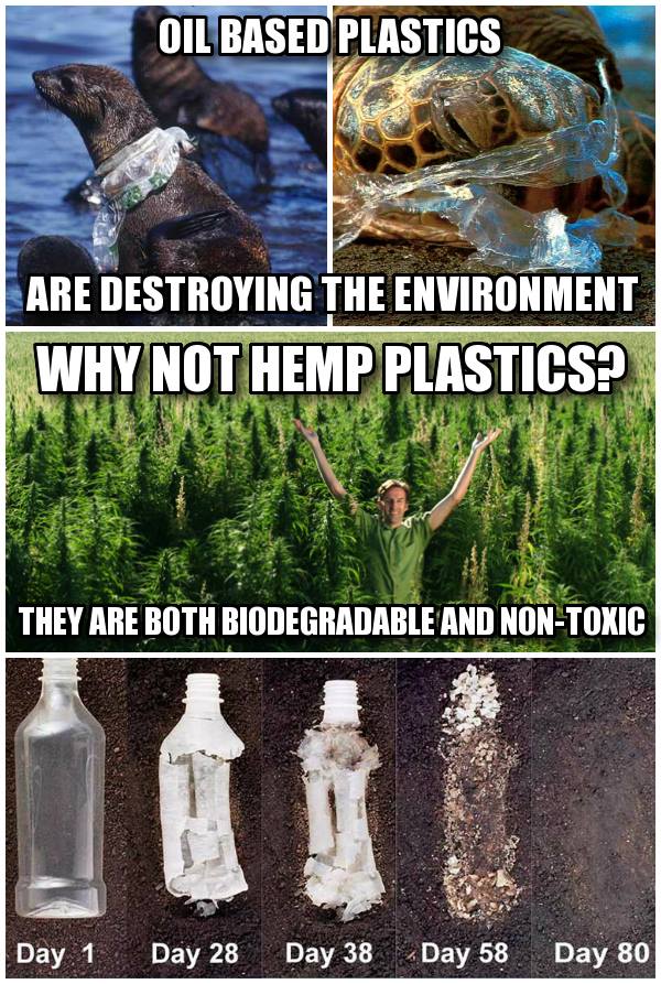 hemp meme